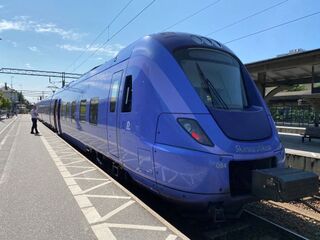 Picture af Påga tåg