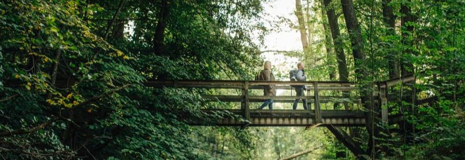 Picture af vandrere på en bro